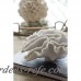 Beachcrest Home Decorative Palancar Coral Table Décor Figurine SEHO5163